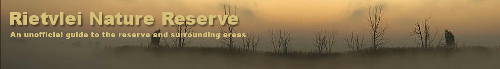 Rietvlei Nature Reserve - An Unofficial Guide